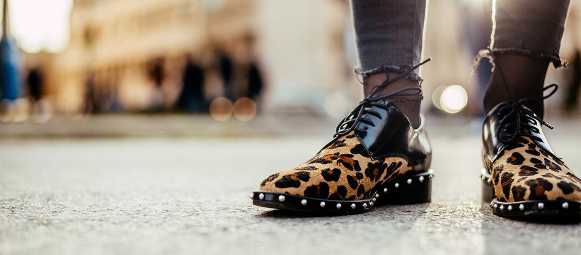 cerca Torpe sonrojo Zapatos de mujer para otoño: los modelos más de moda con estampado animal |  Blog zapatos.es