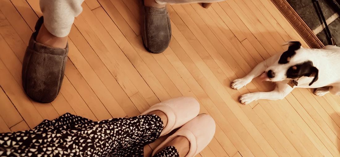 Pantuflas: el calzado perfecto para andar por | Blog